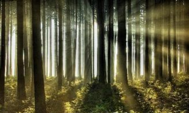 心理治疗的概念_基本素质测验和职业能力倾向测验_心理测验概念