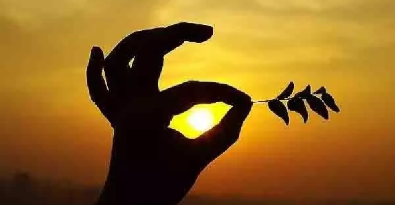 : ֪һ!