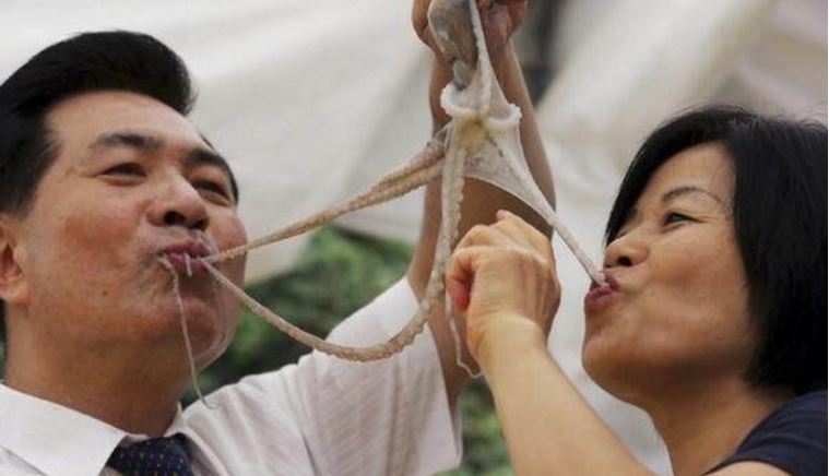 韩国人吃活章鱼窒息而死,还不怕死照样吃,看著都发麻!