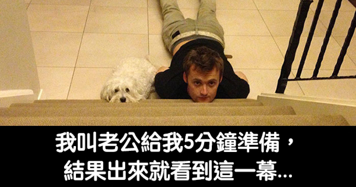 30张「看完会很想领养一只狗狗跟它生活」的狗狗爆笑日常照片!