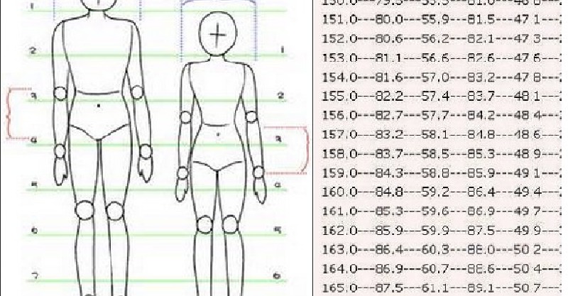 女性的标准身材对照表