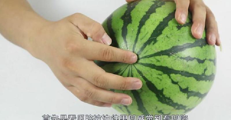 想挑选又鲜又甜的西瓜?教你简单几招,一挑一个准,超实用