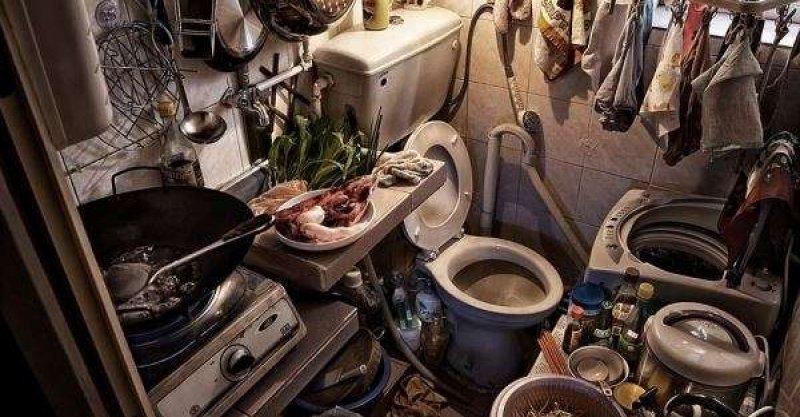 ã24å¼µã馿¸¯äººå·²ç¶ç¿ä»¥çºå¸¸ãå¤å人åå°èæªãçãæ£ºææ¿ã實æç
§çï¼ãçåçæå°çµæ