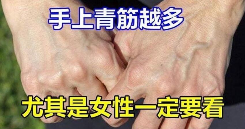 手上青筋越多,说明越…尤其是女性一定要看.观看数:217 人