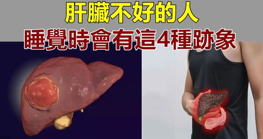 的排毒中枢肝脏受损人体健康系统的生态就被破坏了各种毒素不能正常