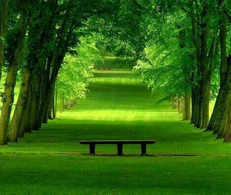 幸福不是努力去爱,而是安心的生活.