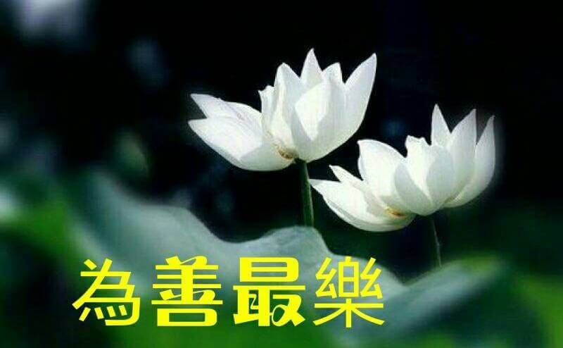 为善最乐,一个妇人给全家人煎薄饼吃