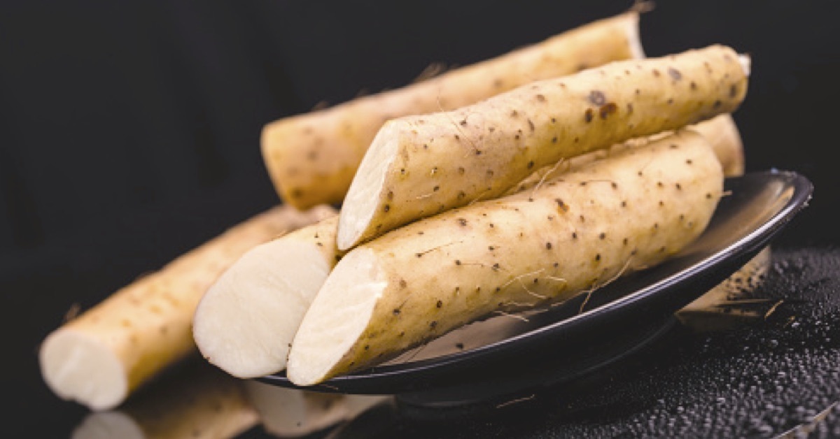 长寿的秘密藏在「山药」里!