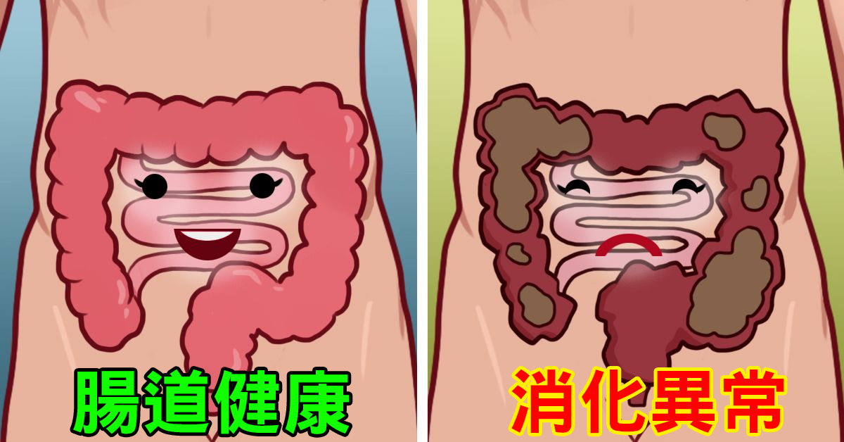 学会「早餐正确吃法」维持健康消化,从此杜绝肠道疾病!