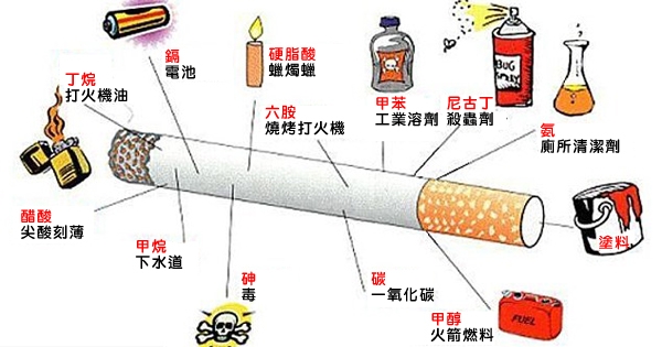 大家都知道吸菸對身體不好，但是卻很少人知道其實香菸還會讓人「頭腦變 ...