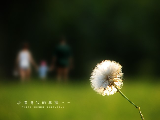 拥有的一切就值得珍惜.