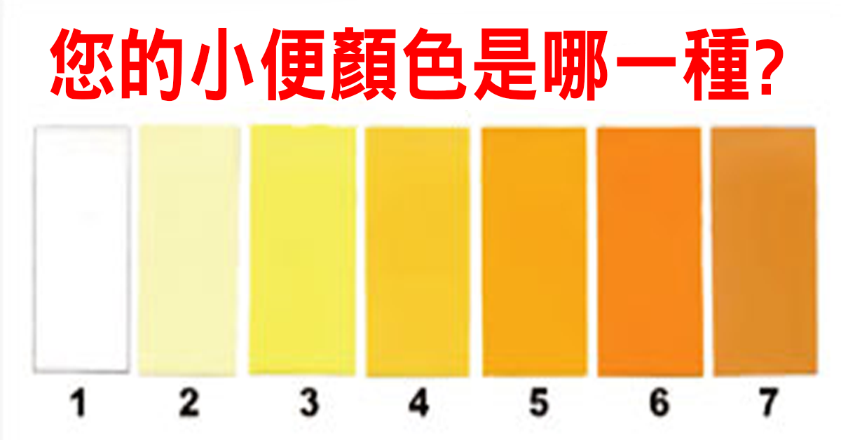 如厕后别急著冲水!「小便」健康学问大,肝肾疾病,糖尿病自己来判断