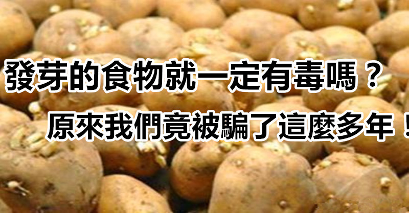 「发芽的食物」就一定有毒吗?原来我们竟被骗了这麼多年!