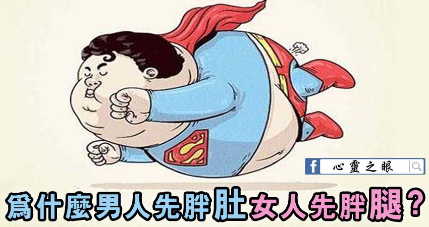 男人先胖肚,女人先胖腿!給男男女女減肚子,瘦腿的好方法