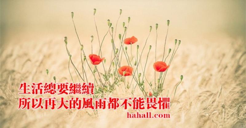 生活总要继续, 所以再大的风雨都不能畏惧