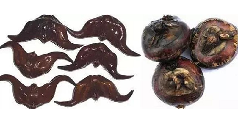 这「6种食物」竟藏大量寄生虫!很多人还经常吃,当心体内长满虫!