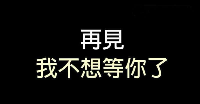 再见,我不想再继续等你了.