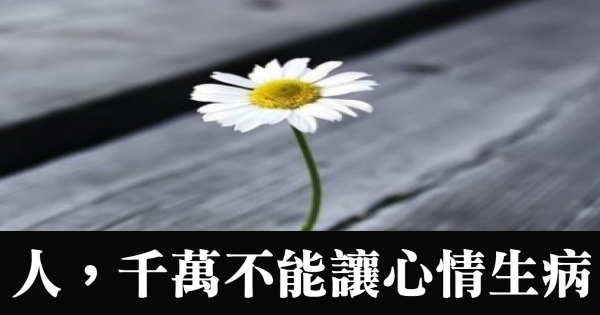 人,千万不能让心情生病,深度好文!值得一看!