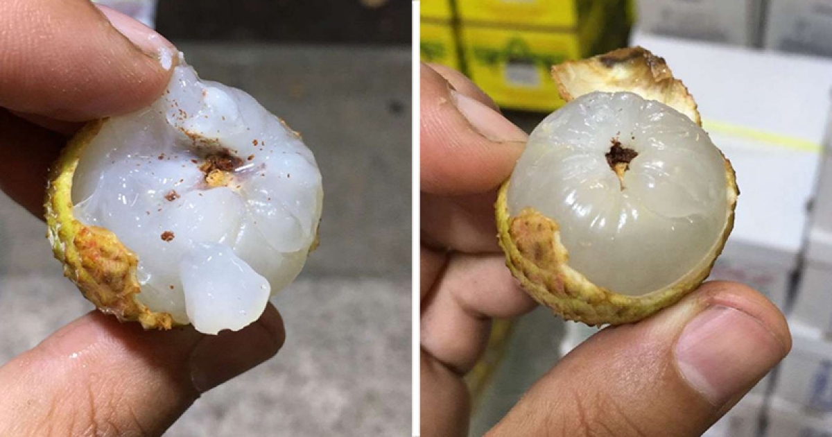 荔枝「蒂头发黑」不要直接吃 水果摊贩:那是虫粪代表里面有虫了