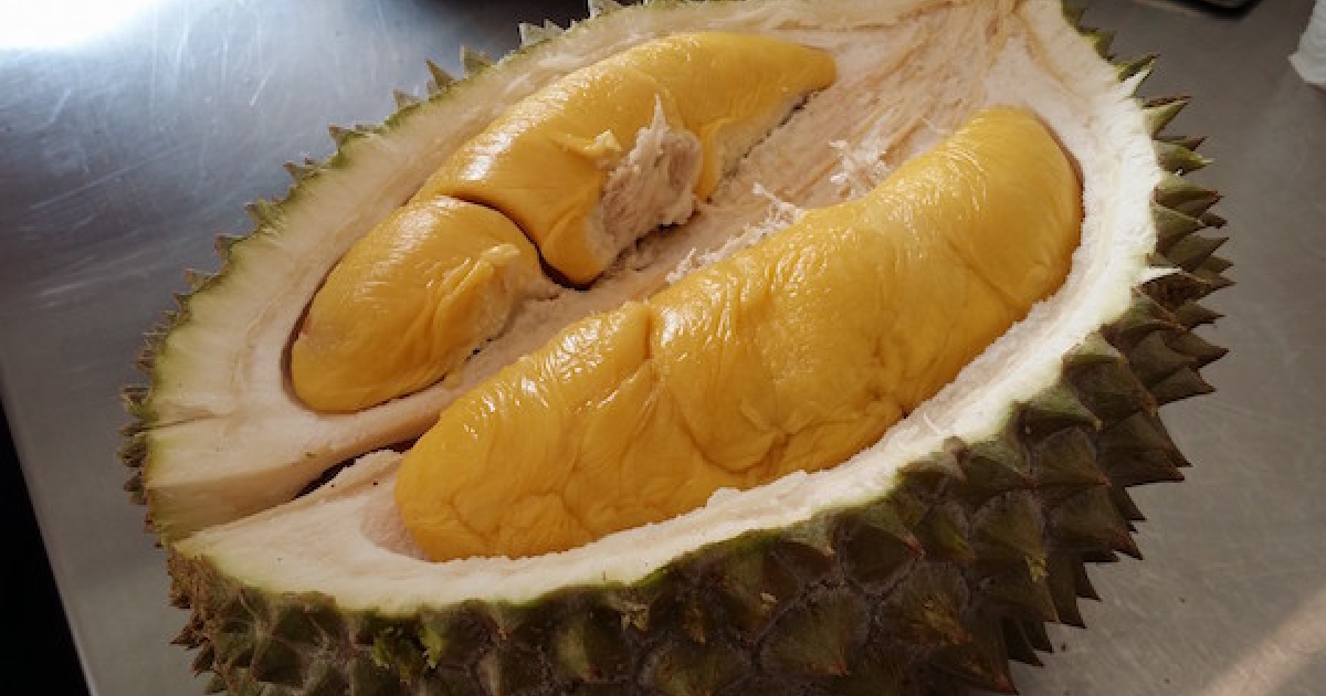 榴连太臭了! 大学被熏到以为「有毒气」 紧急疏散600名师生