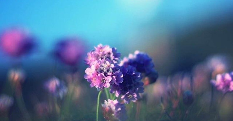 做人,多个心眼,不然容易被人当傻子!