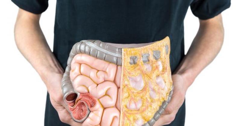 内脏脂肪比赘肉更可怕!身体有这三个表现,你的内脏脂肪超标了