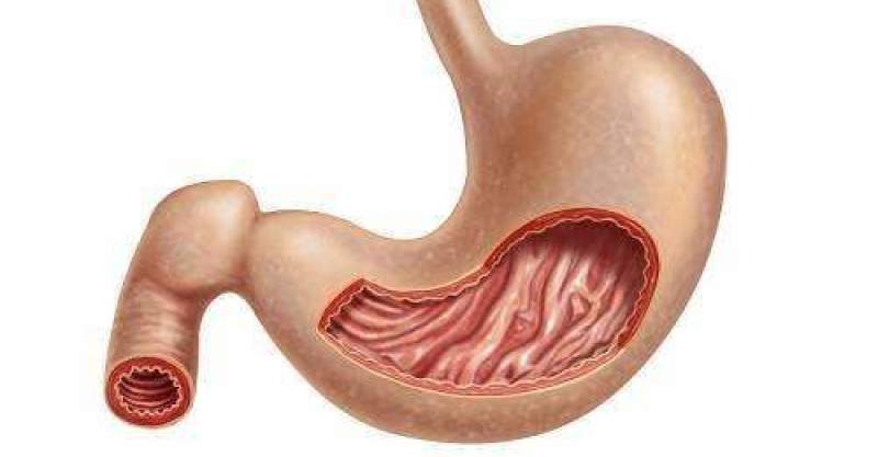 胃病的「天然药」找到了,每天吃一点,修复胃黏膜,远离老胃病