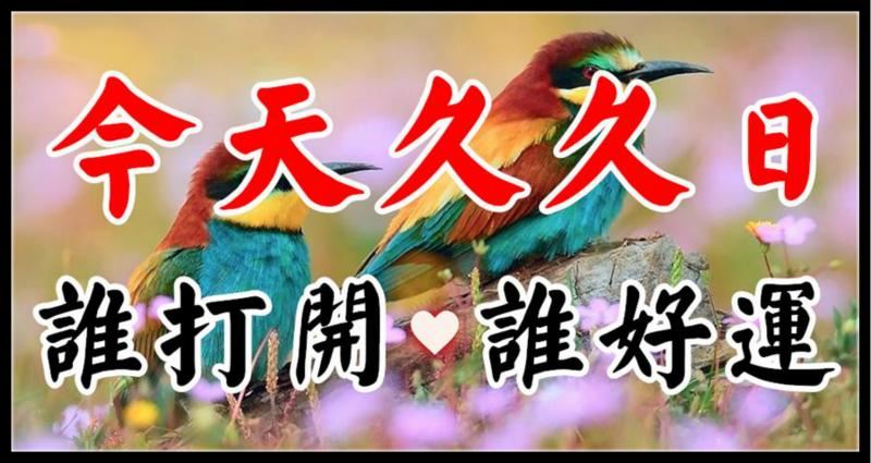 今天12月9日,久久日,祝你长长久久!