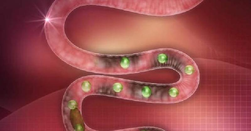 宿便长时间积攒在肠道,会伤害身体健康?可以用2种办法调理