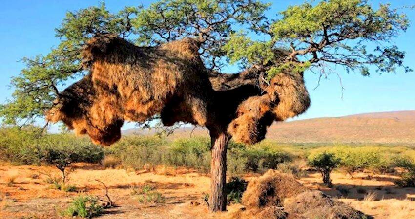 动物有自己的生存智慧有时候我们能从它们身上学到很多东西今年56岁的