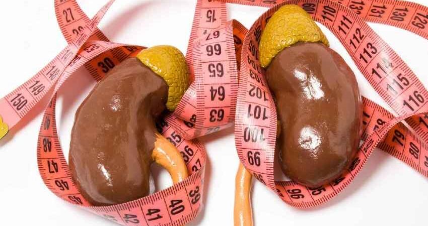 肾脏的功能是什麼?人若没了肾脏,会发生什麼,不敢想像