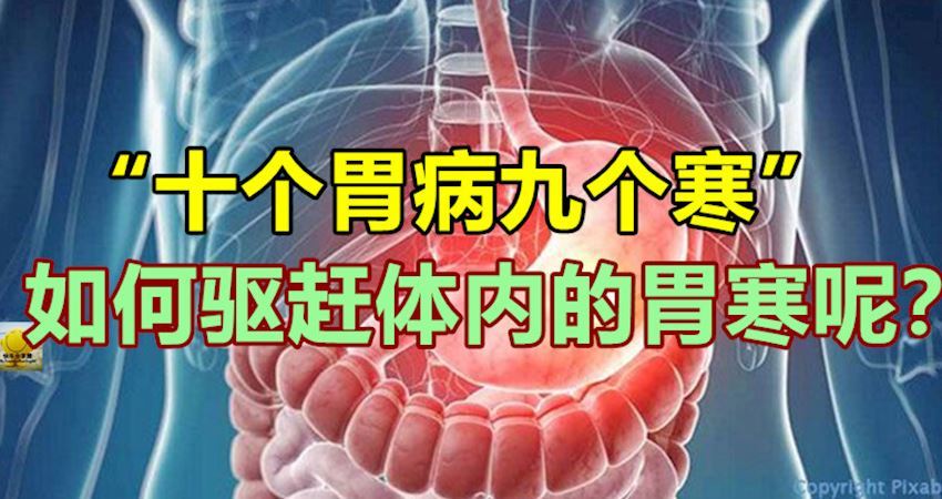 「十個胃病九個寒」,如何驅趕體內的胃寒呢?