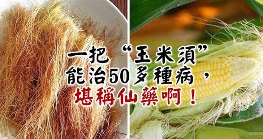 「一把玉米须」能治50多种病,堪称仙药啊!